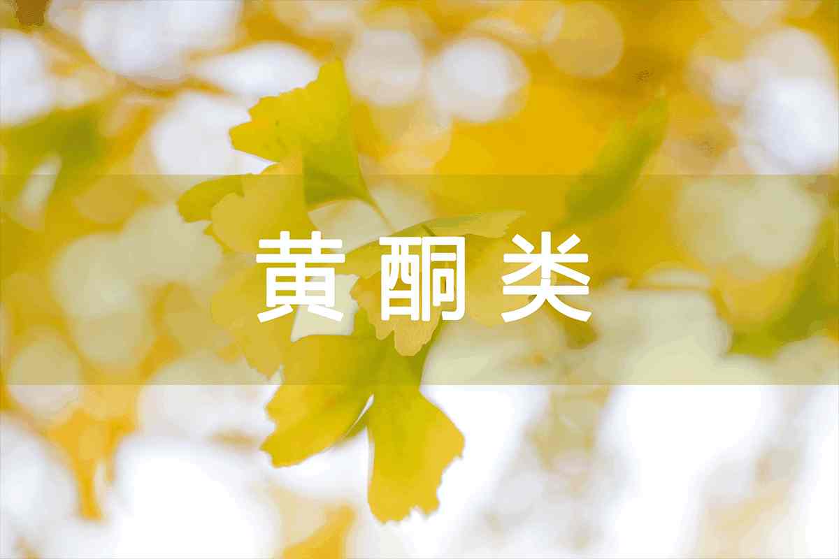 /products_details/998653431996207104.html